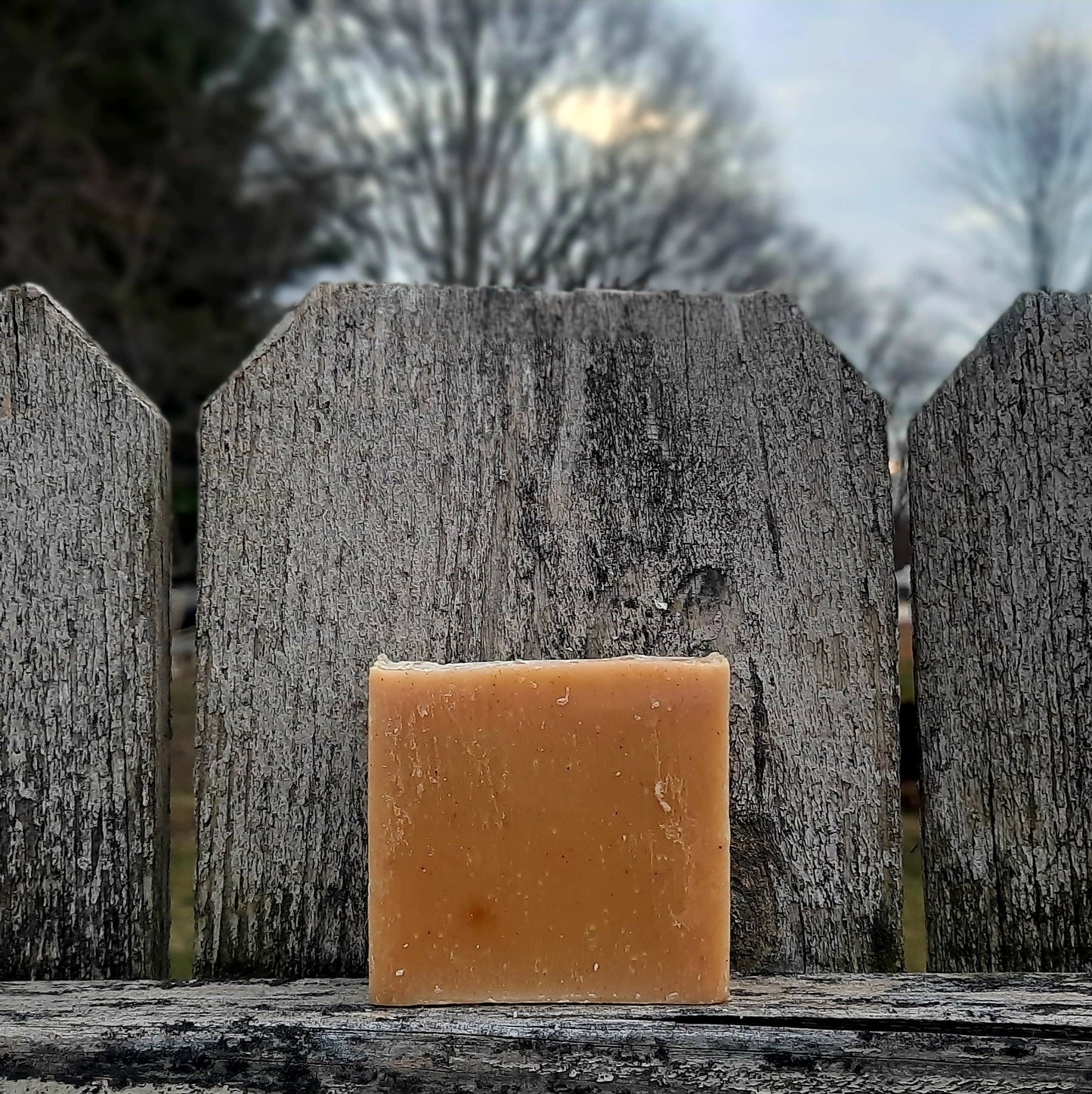 Naked in the Sun Bar Soap