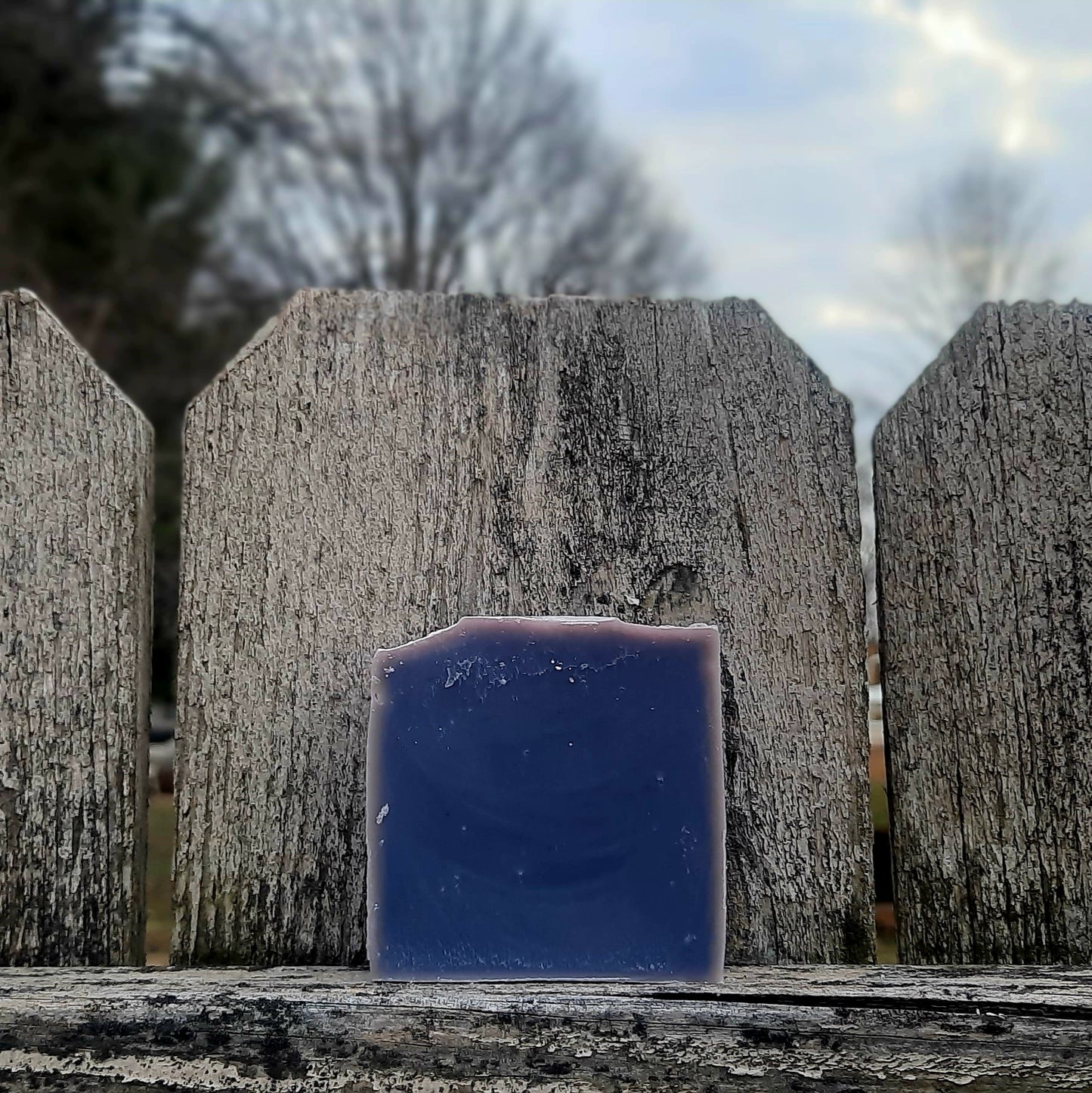 Skinny Dipping Bar Soap