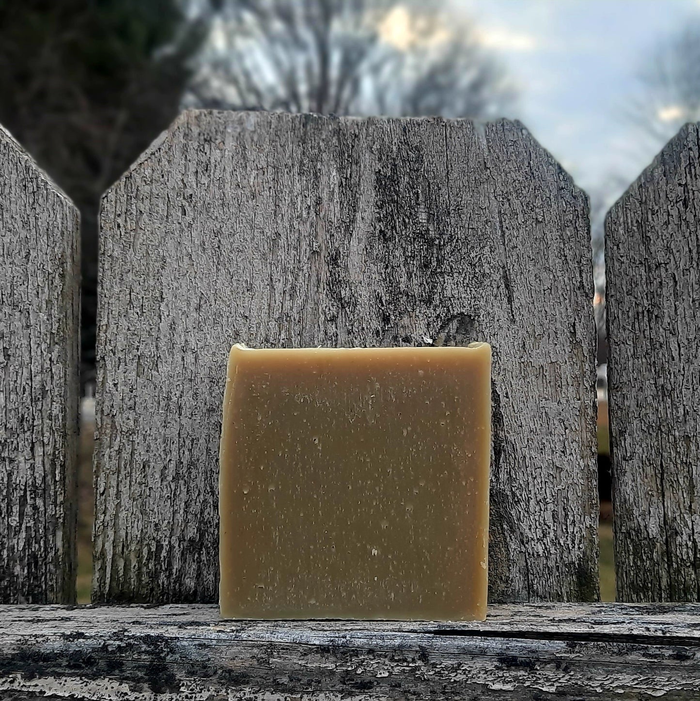 Taking in the View Bar Soap