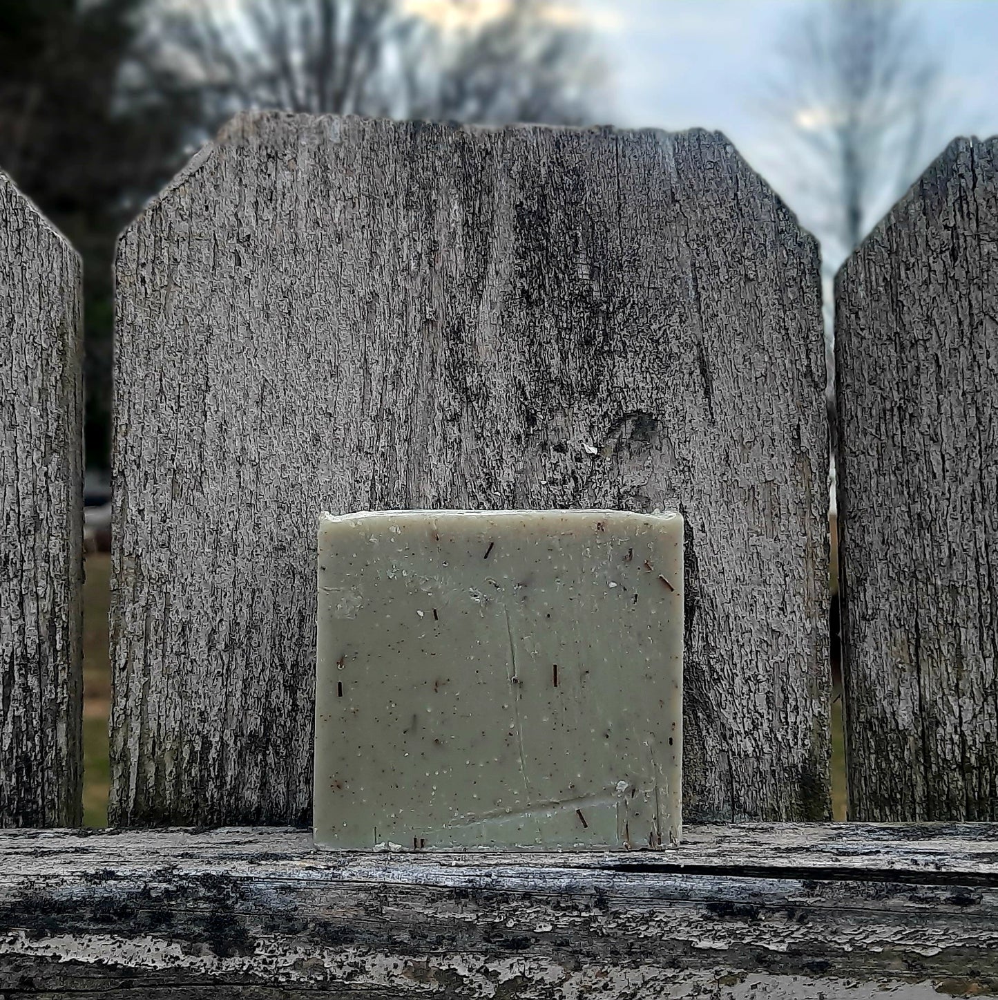 A Nap in the Forest Bar Soap