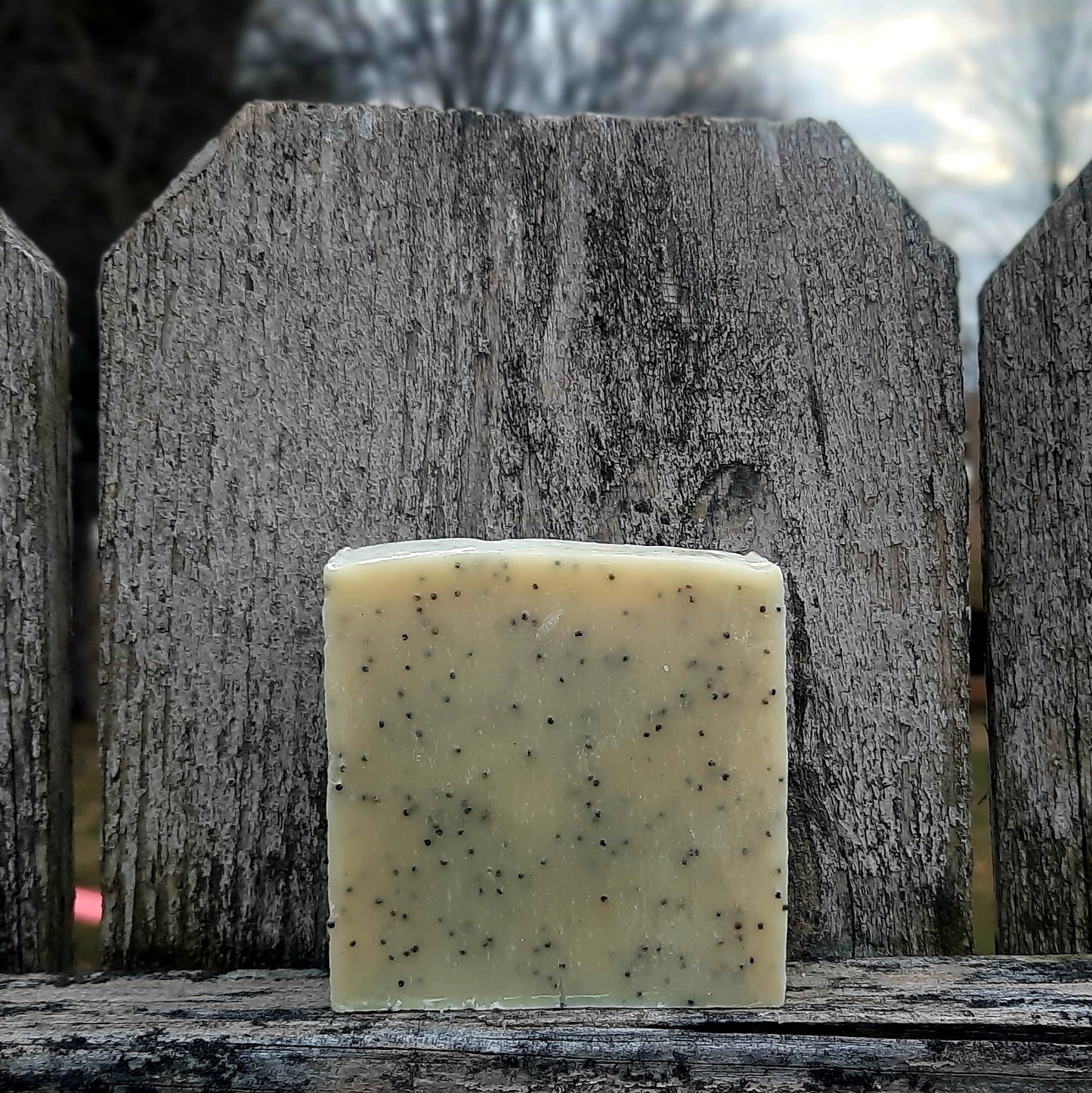 Play in the Dirt Bar Soap